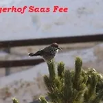 Hotel Garni Jaegerhof 3*