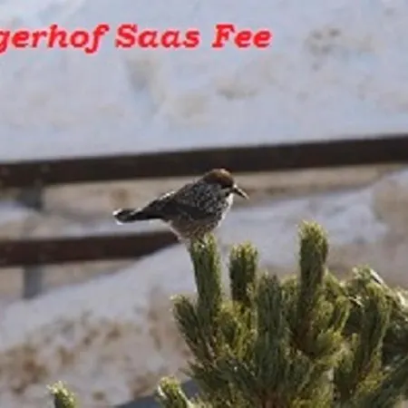 Отель Garni Jaegerhof 3*