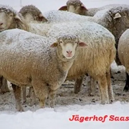Отель Garni Jaegerhof