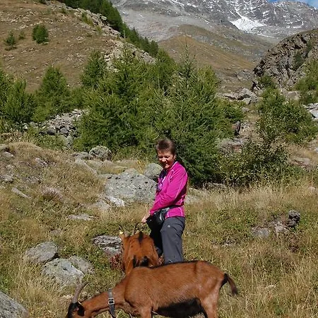 Garni Jaegerhof Отель