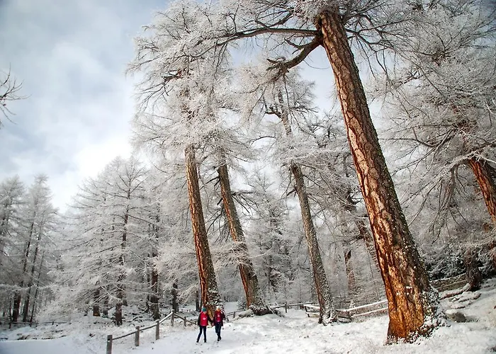 Garni Jaegerhof Hotel Saas-Fee