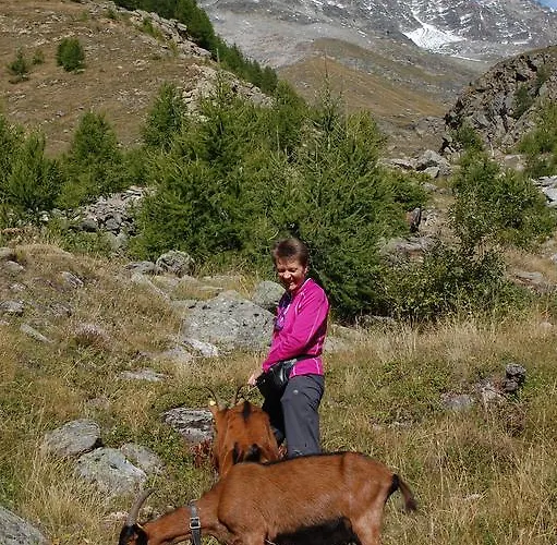 Garni Jaegerhof Hotel