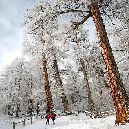 Garni Jaegerhof Hotel Saas Fee