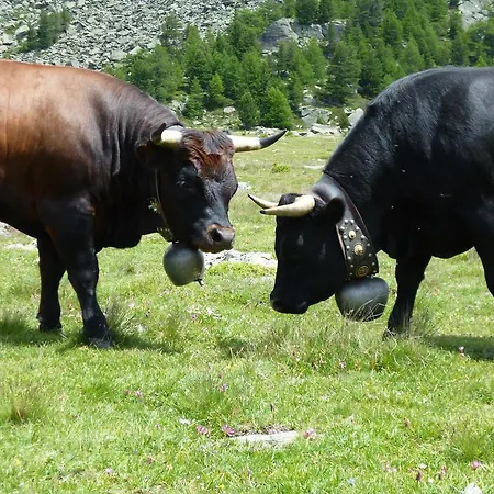 Garni Jaegerhof Saas Fee