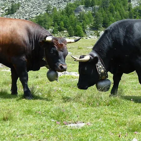 Garni Jaegerhof Saas Fee