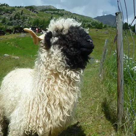 Garni Jaegerhof