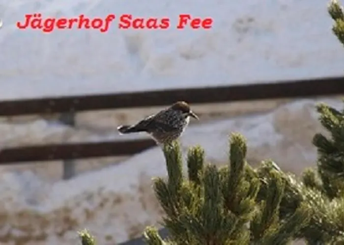 Szálloda Garni Jaegerhof 3*