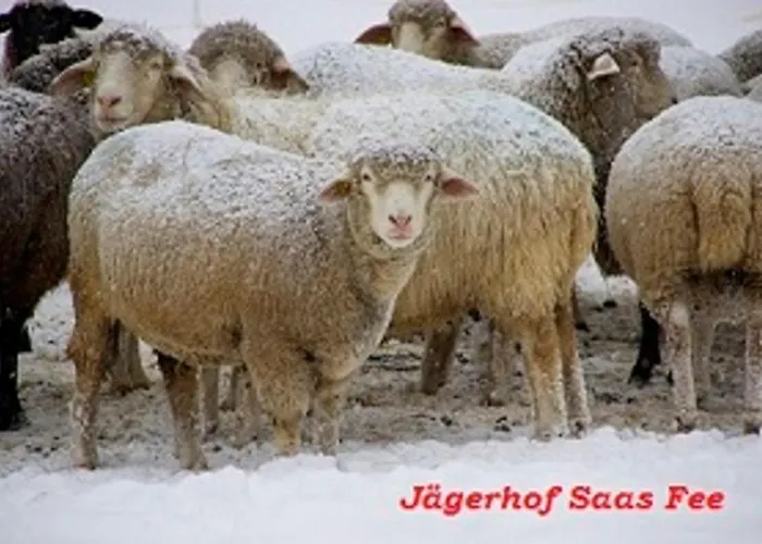 Szálloda Garni Jaegerhof