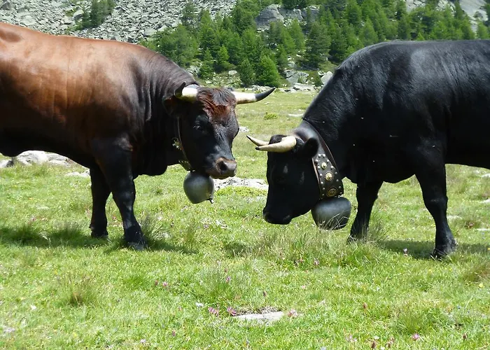 Garni Jaegerhof Saas Fee